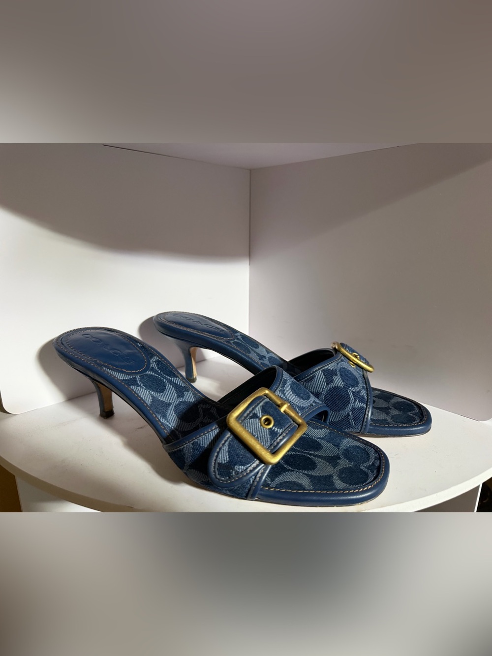 Coach Denim Kitten Heels